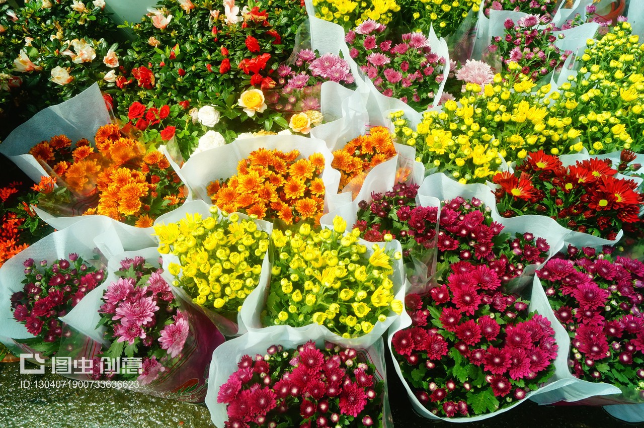 深圳花卉市場(chǎng)迎雙節(jié)，備足花卉植物盆景慶團(tuán)圓