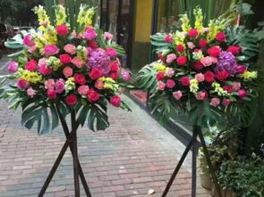 深圳鮮花綠植 婚慶展會布置與園藝設計的專業指南