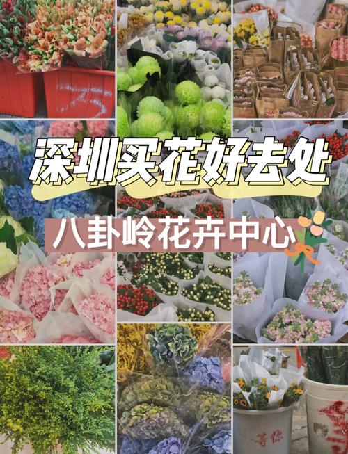 深圳買花攻略 從大型市場到社區(qū)花店，尋香覓色全指南